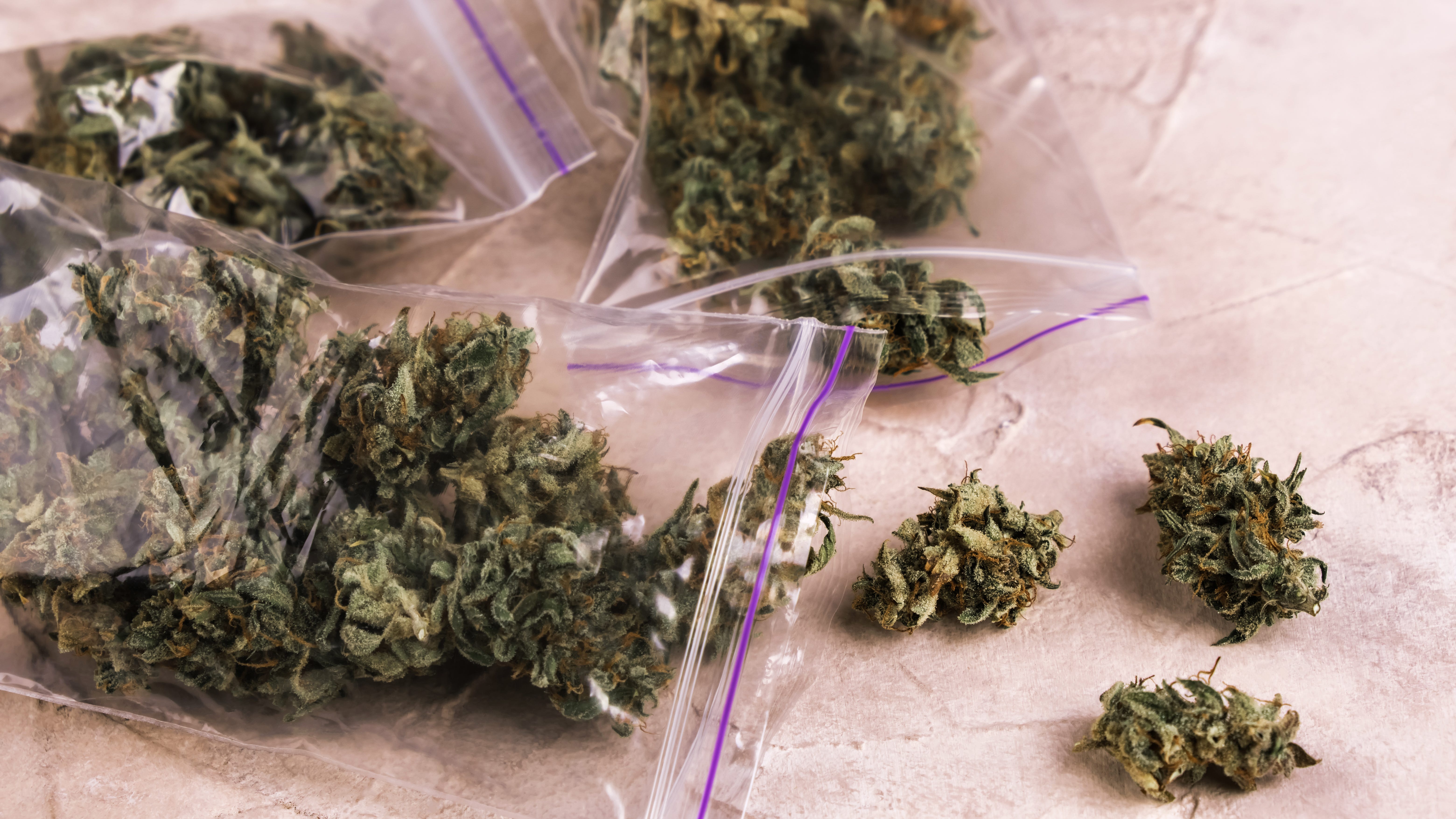 Denton puts marijuana proposal on the ballot this fall