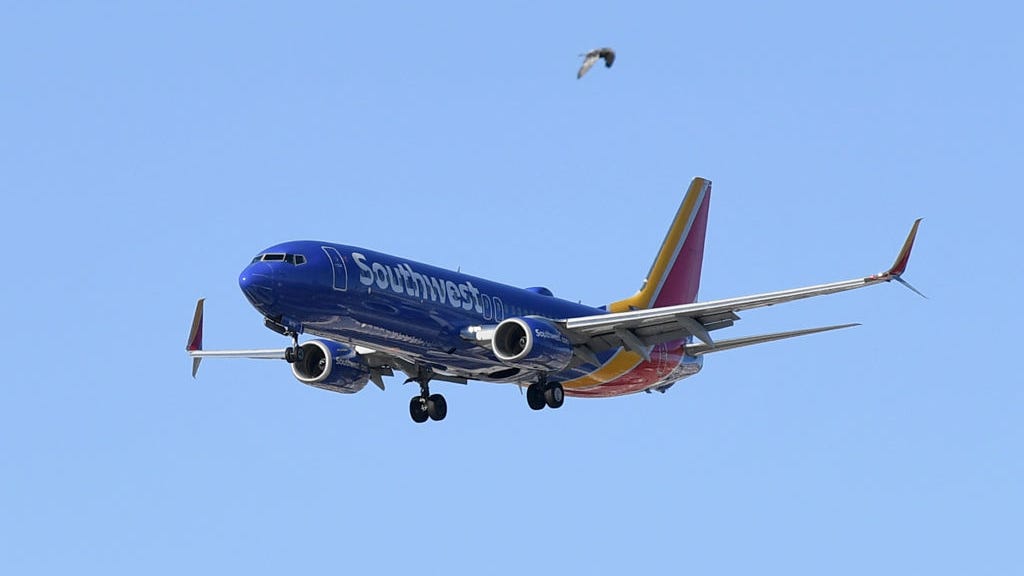 Flight to Florida turns around after birds take out engine