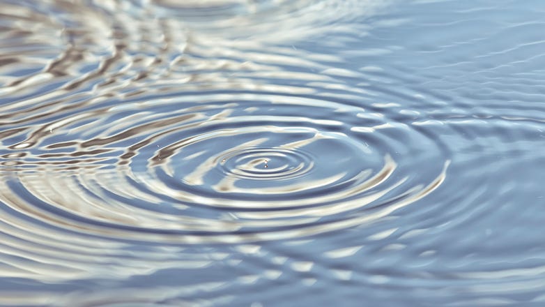 15-year-old Detroit boy drowns while swimming at Monroe County campground