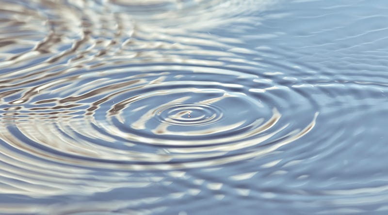 Stock image of pond