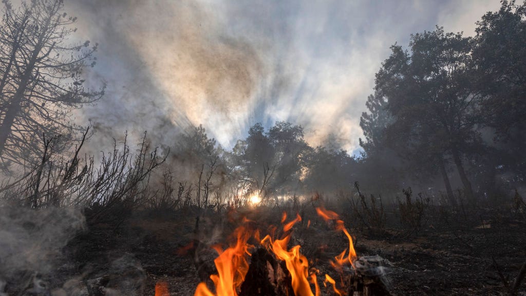 CAL FIRE, USDA join forces to prevent catastrophic wildfires