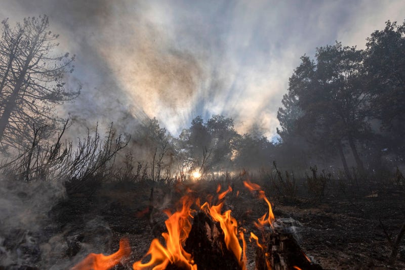 The USDA joined forced with CAL FIRE to prevent future wildfires to reach the ferocity of Dixie and Caldor.