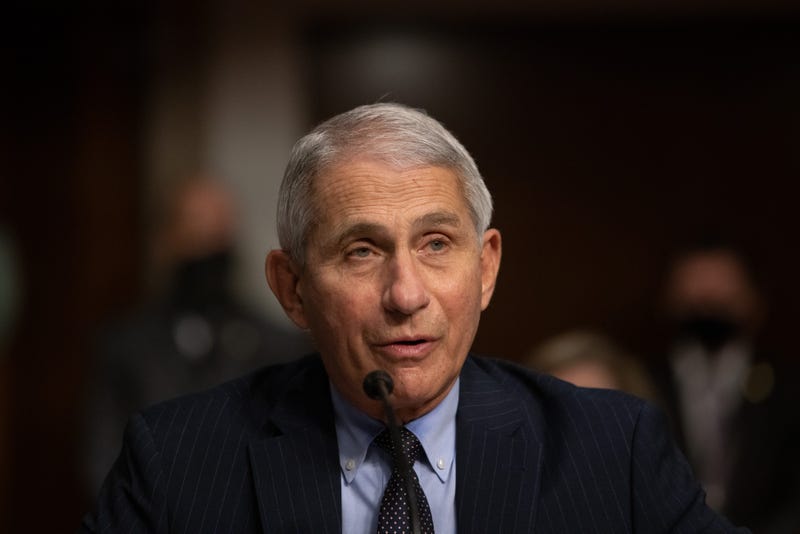Anthony Fauci, director of National Institute of Allergy and Infectious Diseases at NIH, testifies at a Senate Health, Education, and Labor and Pensions Committee on Capitol Hill, on September 23, 2020 in Washington, DC.