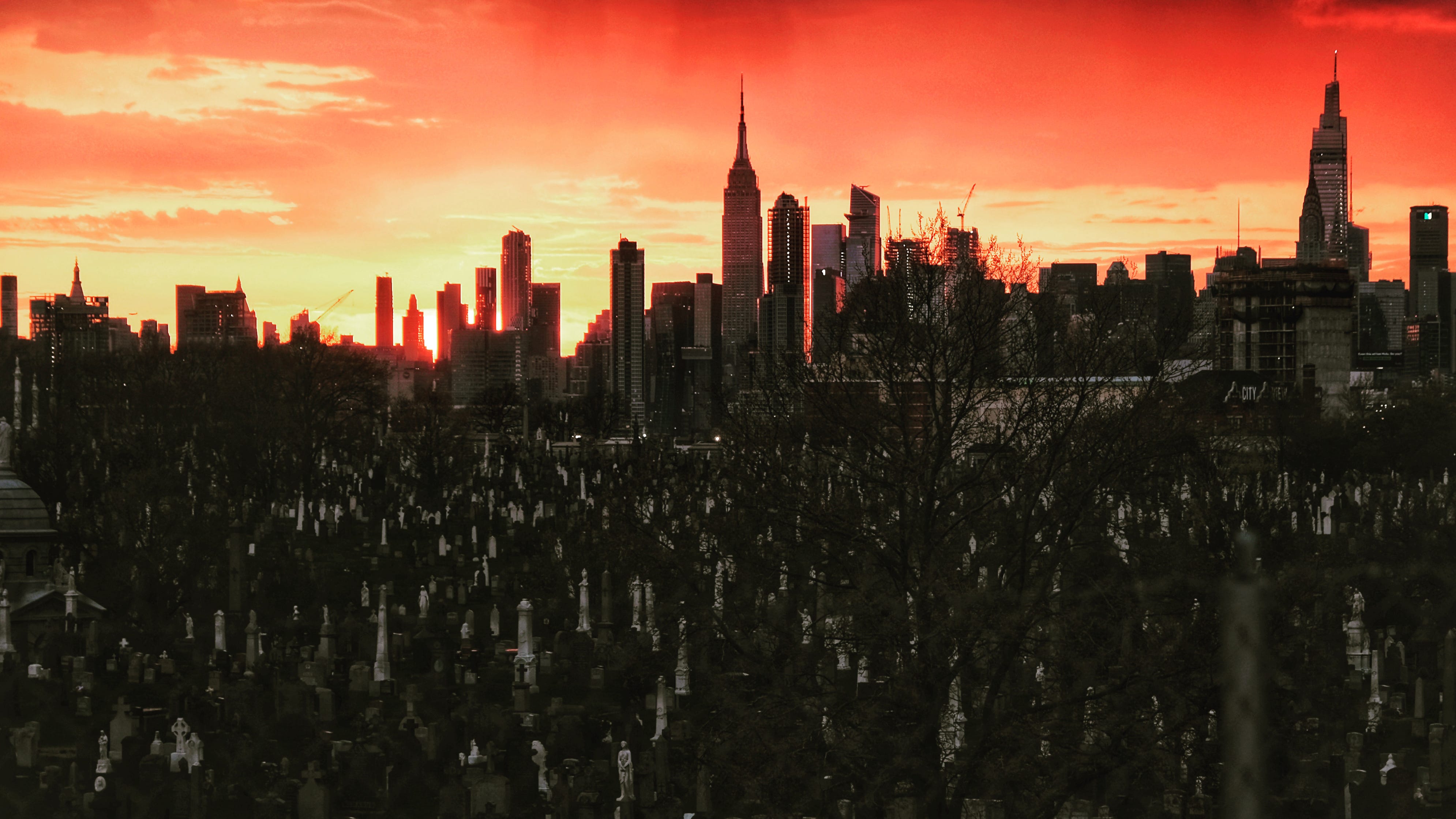 NY life expectancy dropped 3 years in 2020, most of any state: CDC