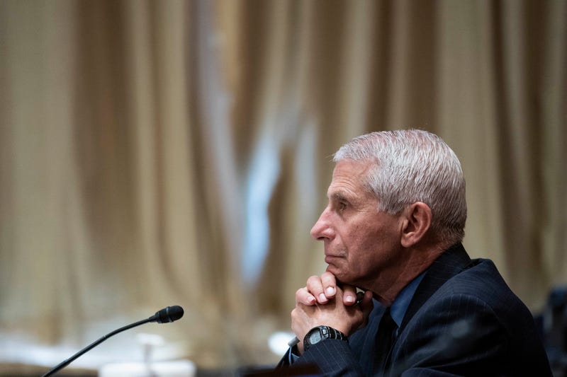 Dr. Anthony Fauci