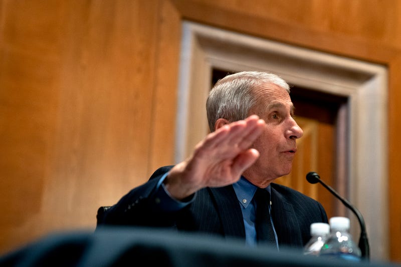 Dr. Anthony Fauci speaks during a Senate subcommittee hearing in May.