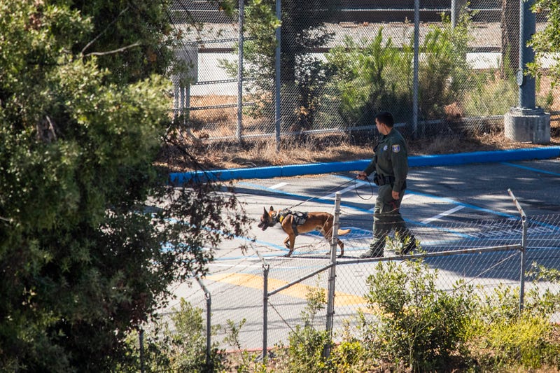 A K-9 unit works the scene of a mass shooting at the Valley Transportation Authority (VTA) light-rail yard on May 26, 2021 in San Jose, California.