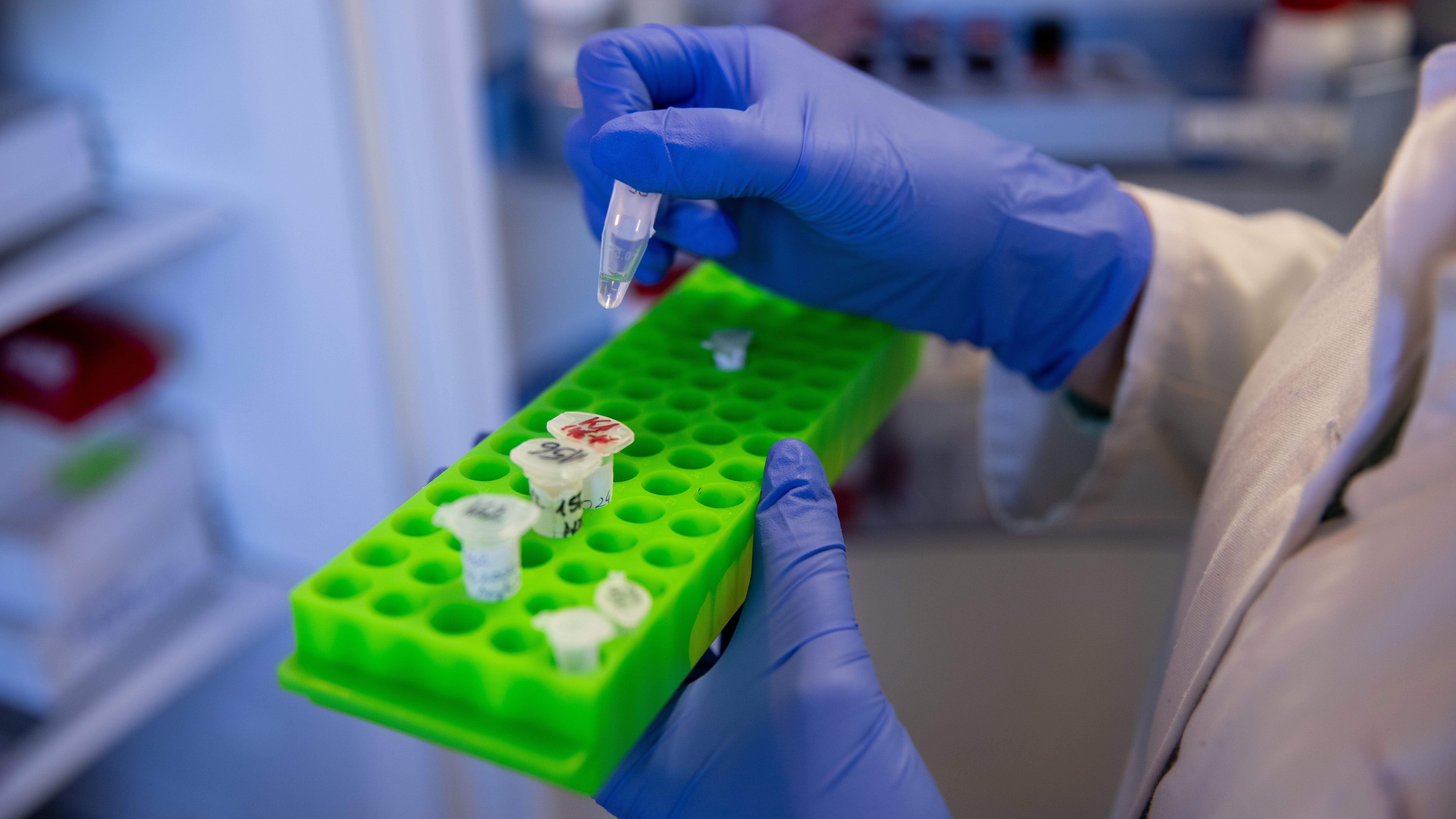 Wuhan lab genetically manipulated and accidentally released COVID-19 virus, says congressional report