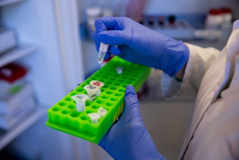 A biologist in a lab works to create COVID-19 vaccines.