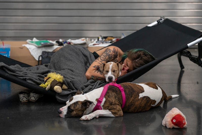 A woman rests with her two dogs inside an Oregon cooling center.