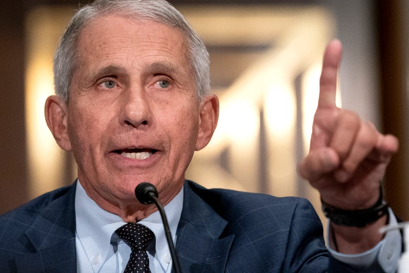 Dr. Anthony Fauci, Director of the National Institute of Allergy and Infectious Diseases, testifies at a Senate Health, Education, Labor, and Pensions Committee hearing at the Dirksen Senate Office Building on July 20, 2021 in Washington, DC.