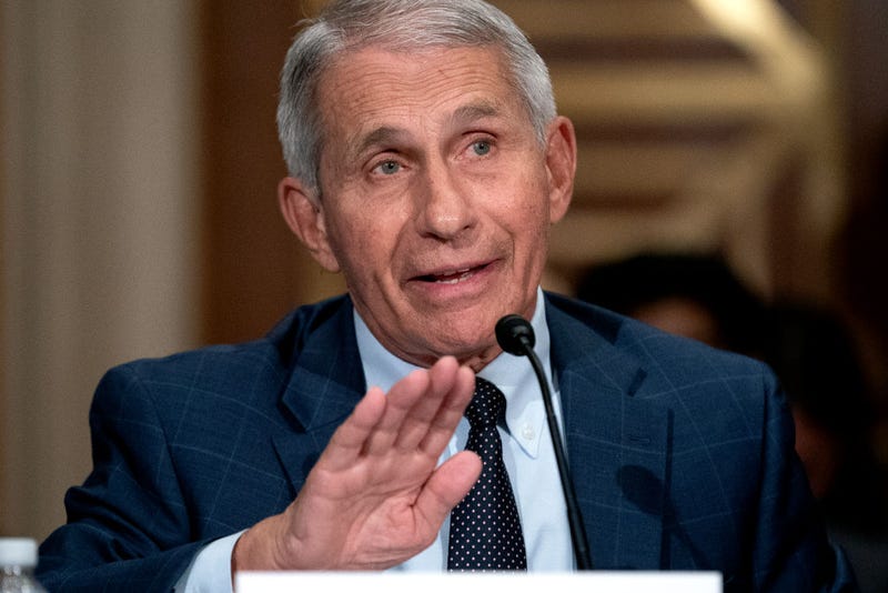 Dr. Anthony Fauci, Director of the National Institute of Allergy and Infectious Diseases, testifies at a Senate Health, Education, Labor, and Pensions Committee hearing at the Dirksen Senate Office Building on July 20, 2021 in Washington, DC. 
