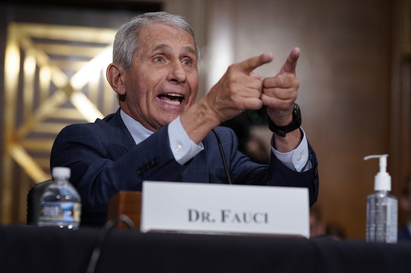 Anthony Fauci, director of the National Institute of Allergy and Infectious Diseases, speaks during a Senate Health, Education, Labor, and Pensions Committee confirmation hearing in Washington, D.C., U.S., on Tuesday, July 20, 2021. The top U.S. infectious-disease expert yesterday said the delta variant of the coronavirus is causing a significant increase in infections and the Biden administration is "practically pleading" with people to get vaccinated. Photographer: J. Scott Applewhite/AP Photo/Bloomberg via Getty Images