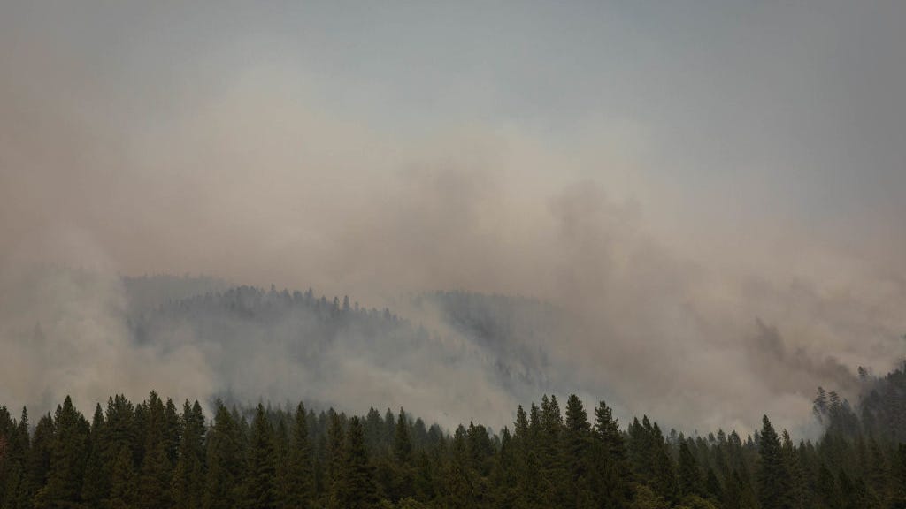 Wildfire smoke linked to thousands of extra COVID-19 cases and deaths in 2020