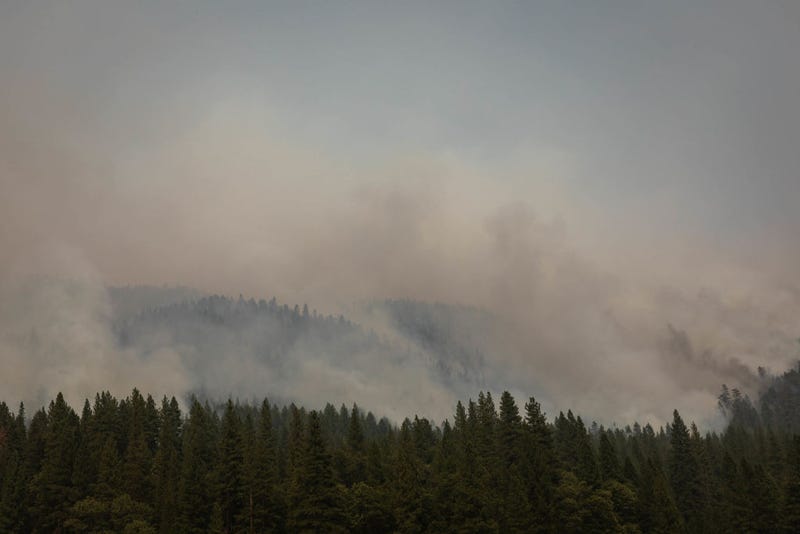 Smoke fills the air as the mountainside burns on August 8, 2021 in Greenville, California. 