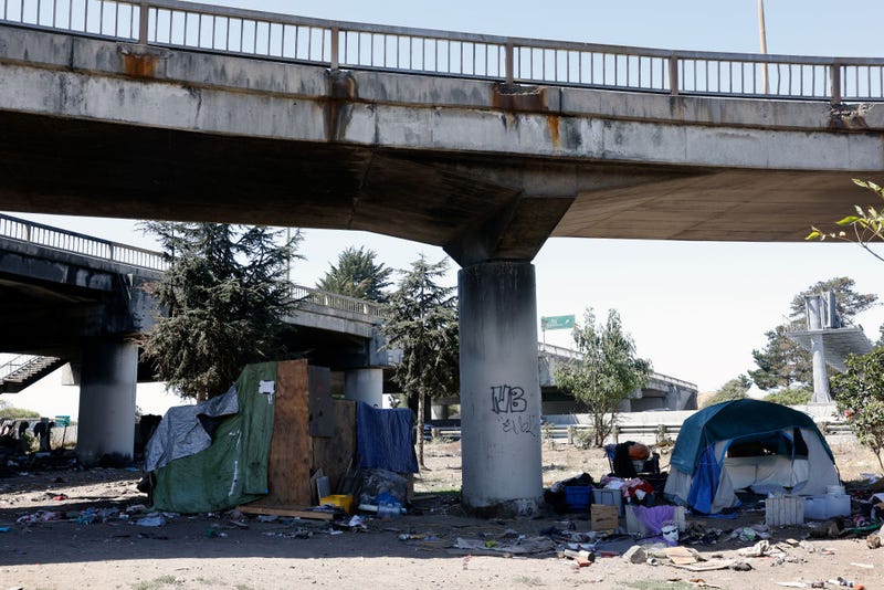 A long-standing homeless encampment along Highway 80 on August 9, 2021 in Berkeley, California.