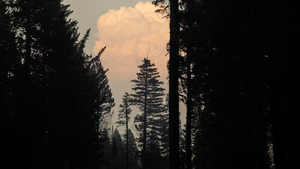 College professor charged in connection to arson feeding Dixie Fire