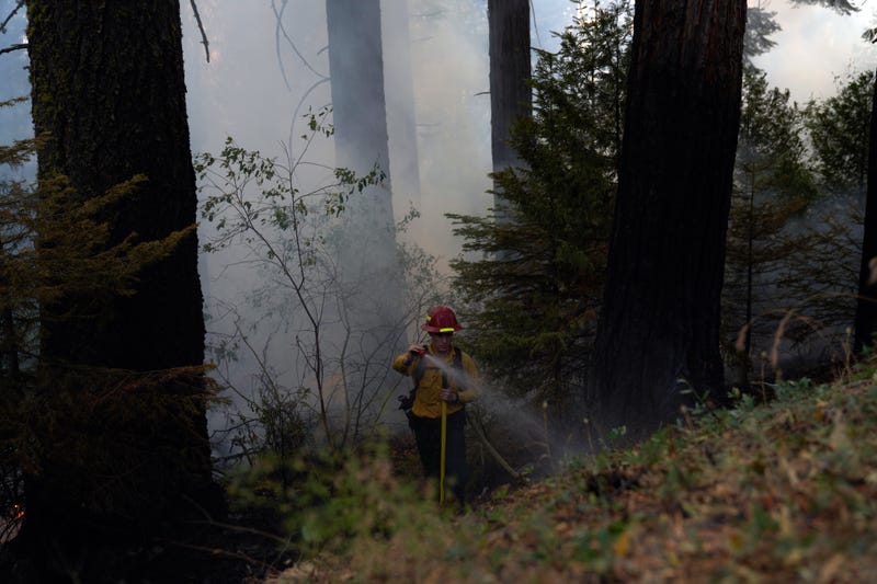 A firefighter puts out spot fires from the Caldor Fire along the Mormon Emigrant Trail on August 19, 2021 in Pollock Pines, California.
