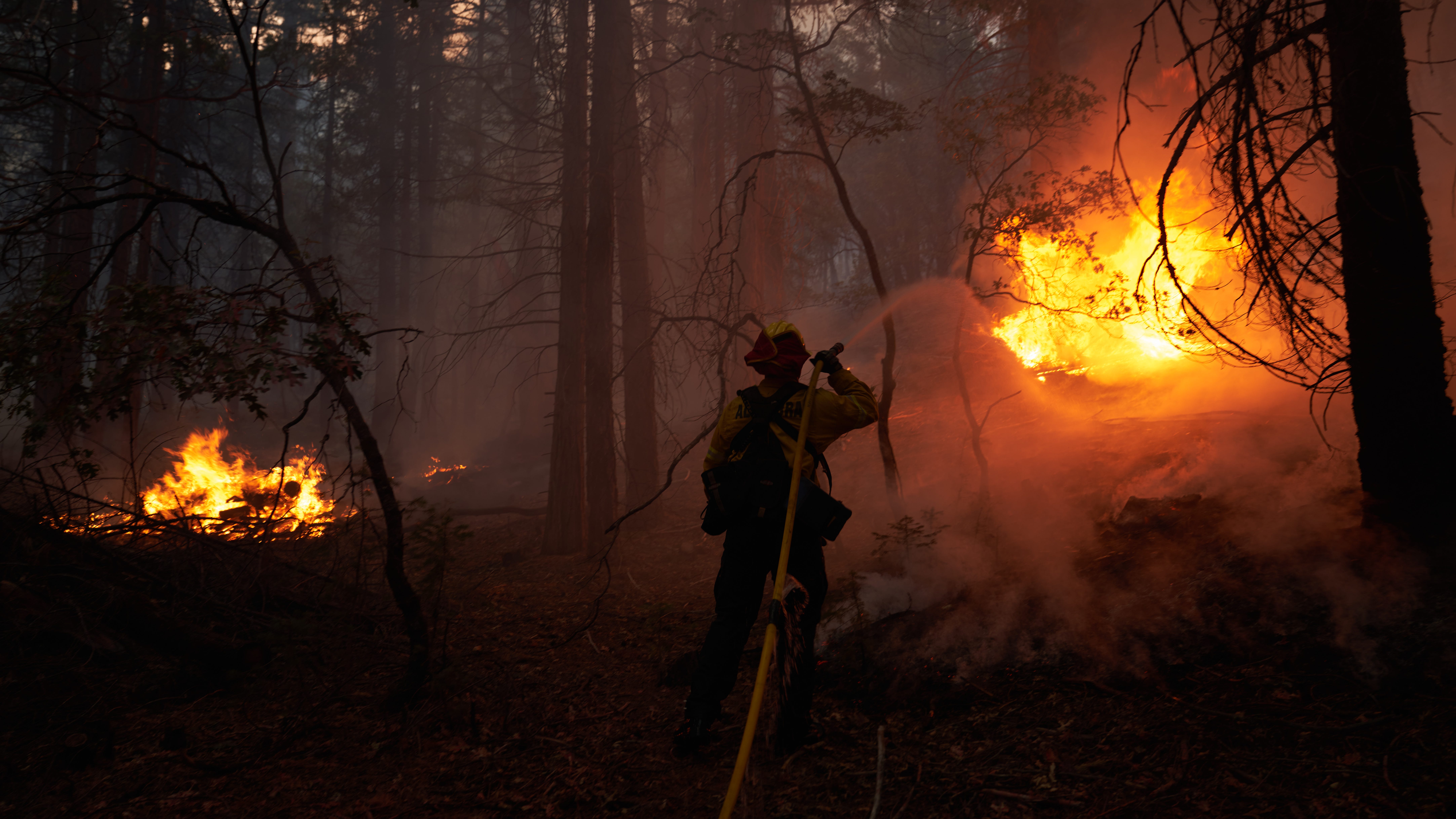 Newsom requests Presidential Major Disaster Declaration to aid relief as wildfires scorch