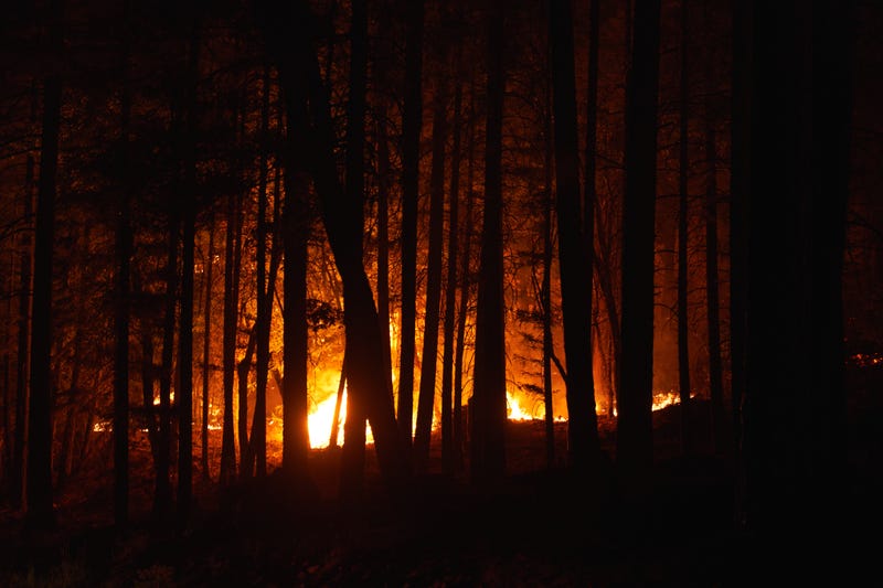 The Dixie Fire pushes through the Genesee Valley on August 21, 2021 in Genesee, California.