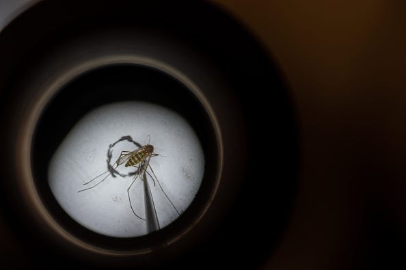west nile