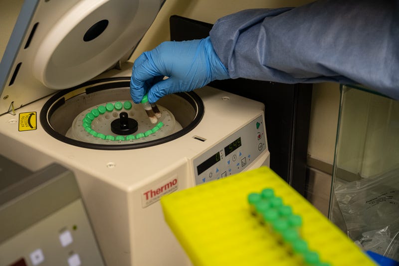 A lab technologist places liquified mosquito samples into a centrifuge