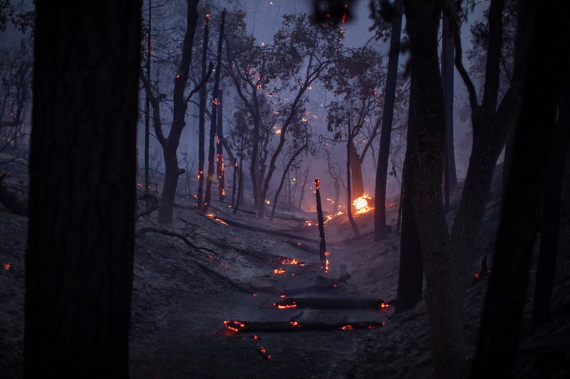 A freshly burned landscape is seen as the French Fire continues to spread on August 25, 2021 near Wofford Heights, California.