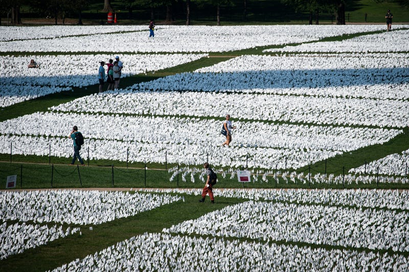 Over 650,000 White Flags Planted On National Mall To Honor American Covid Deaths