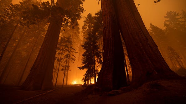 Scientists say Earth has a 50/50 shot of hitting dire warming mark by 2026