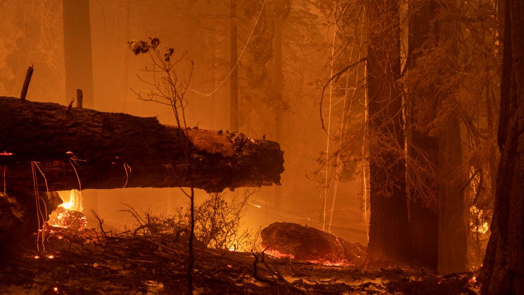 Newsom: Communities could be 'wiped off the map' due to climate crisis