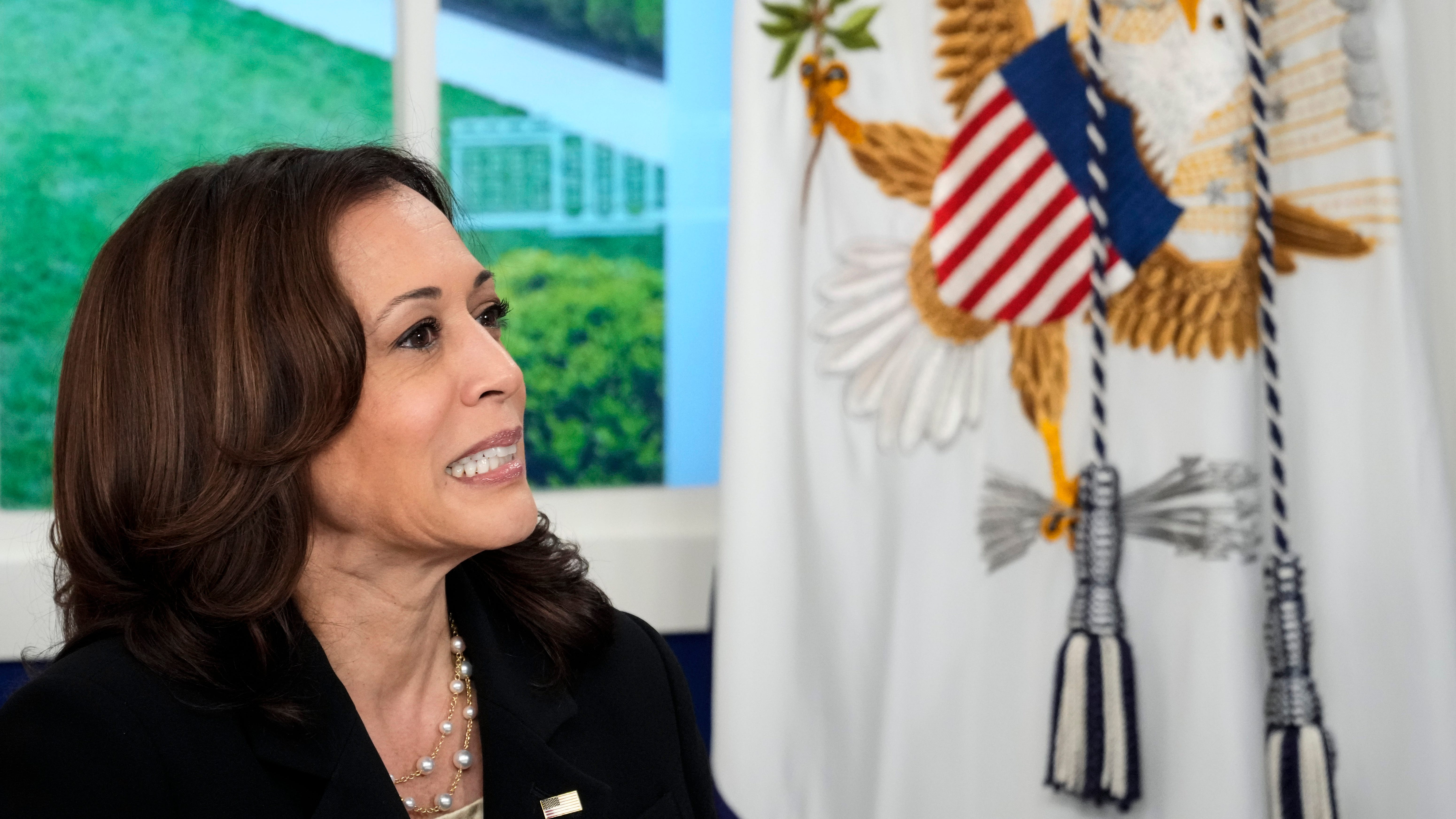 Kamala Harris' staff reportedly 'vexed' by 'The View' COVID-19 chaos
