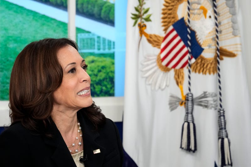 U.S. Vice President Kamala Harris speaks during a virtual United Nations General Assembly COVID-19 summit in the South Court Auditorium in the White House September 22, 2021 in Washington, DC. 