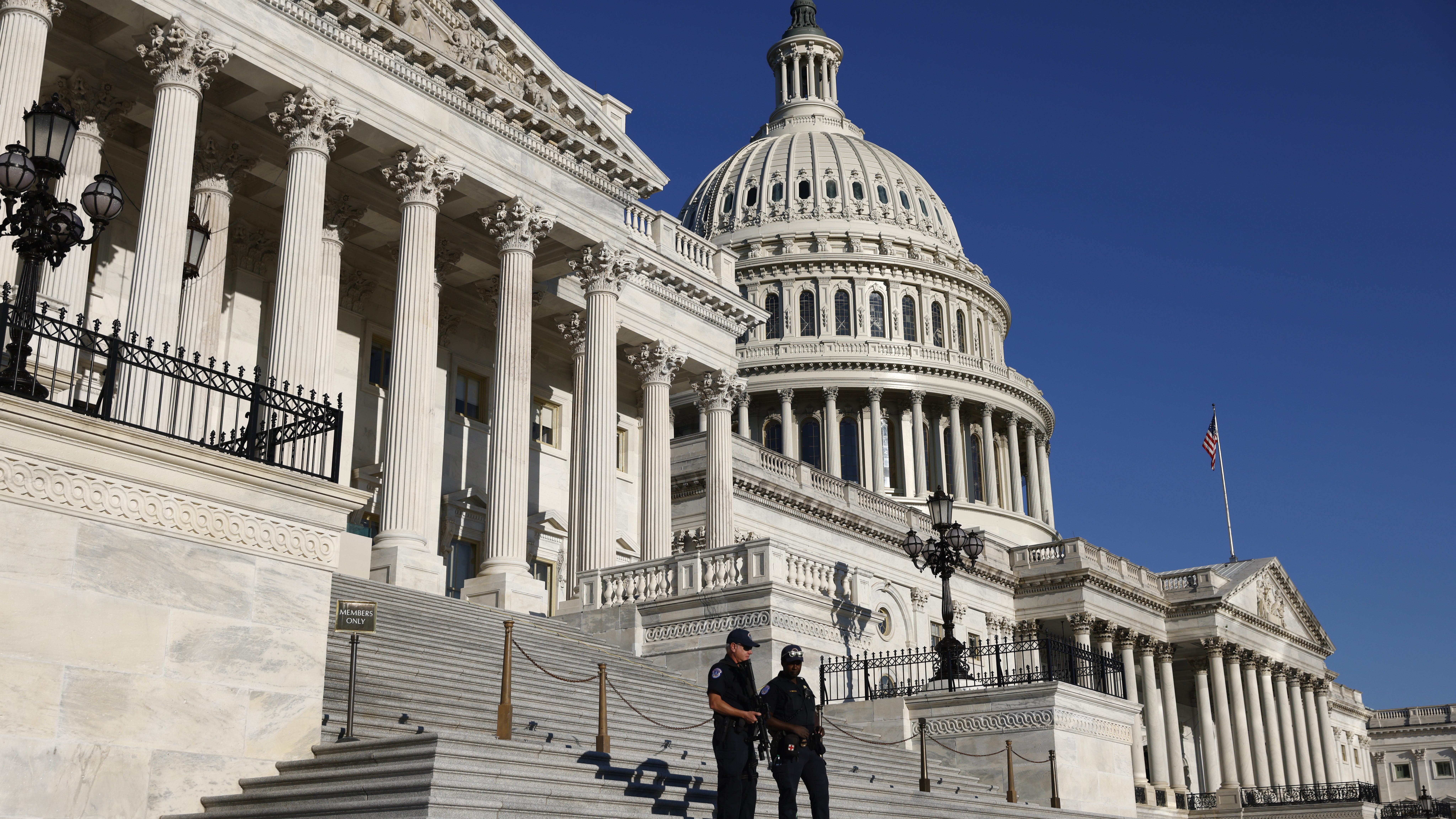 Baseball bat-swinging woman, 25, arrested near US Capitol after biting police officer