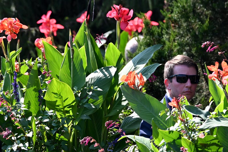 An US Secret Service officer looks out from the flowers as US President Joe Biden visits Brew Haha!, a coffee shop he ate at in Wilmington, Delaware on October 3, 2021, after leaving church.