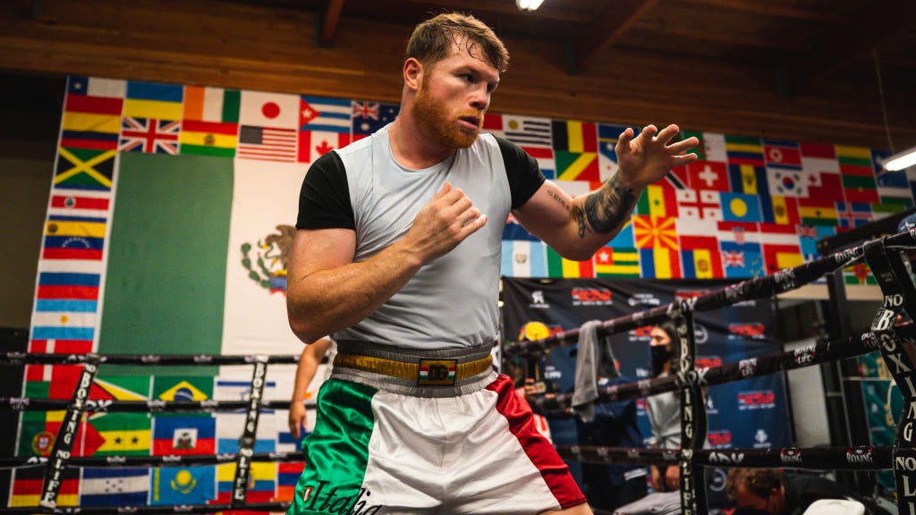 Canelo podría subirse al ring en mayo y septiembre: entrenador