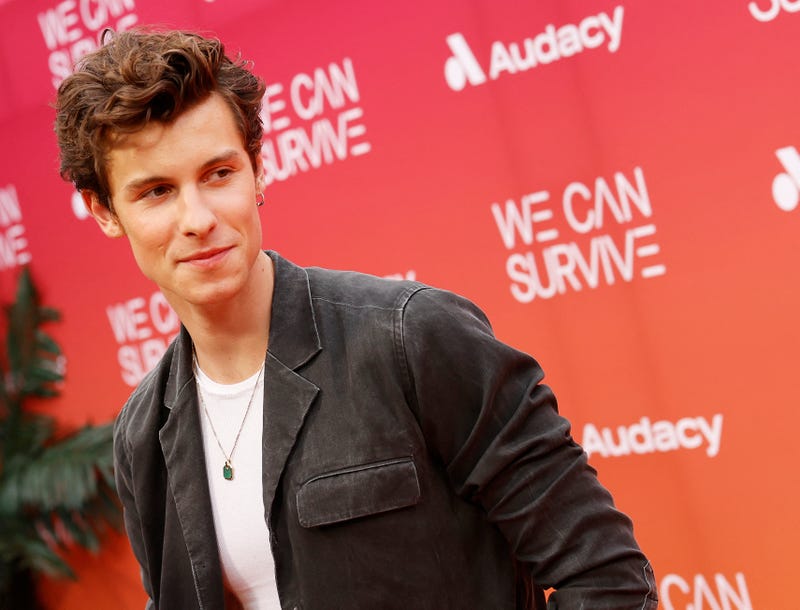 Shawn Mendes