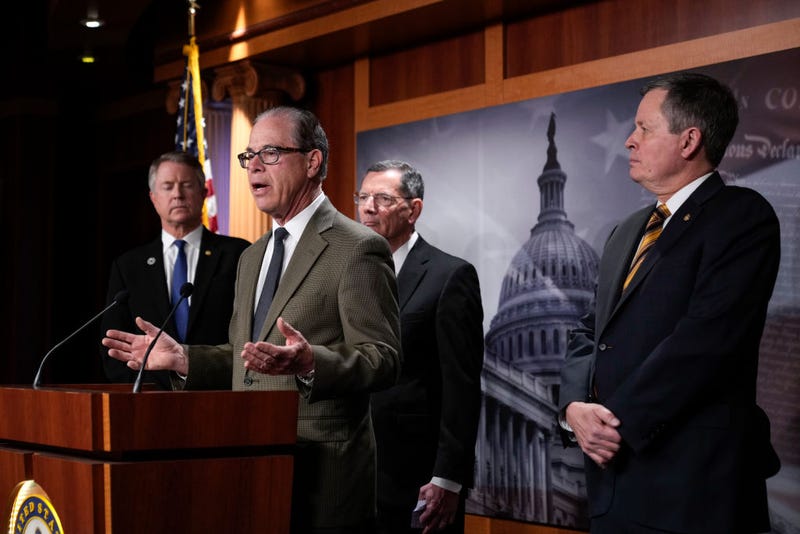 Sen. Mike Braun