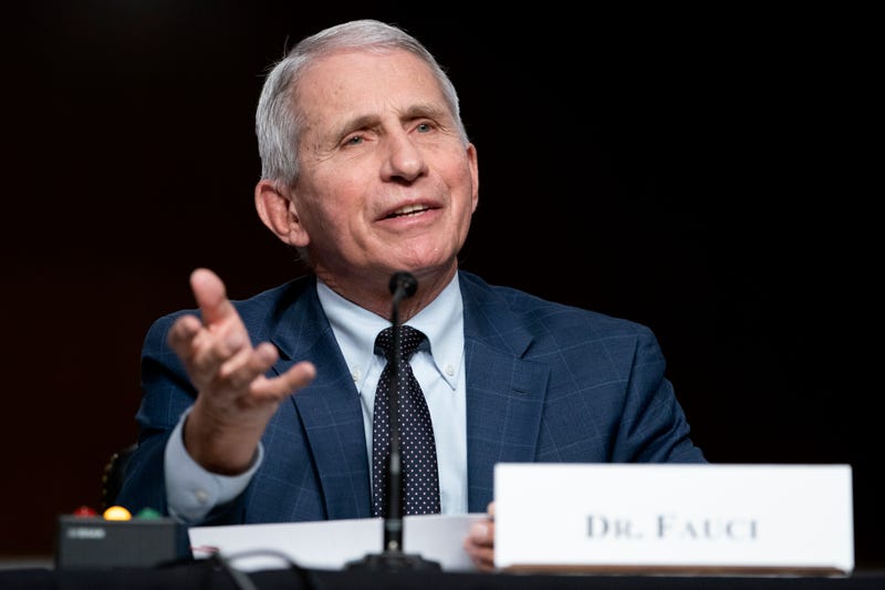 Dr. Anthony Fauci, White House chief medical advisor and director of the NIAID, at a Senate Health, Education, Labor, and Pensions Committee hearing on Capitol Hill on January 11, 2022 in Washington, D.C