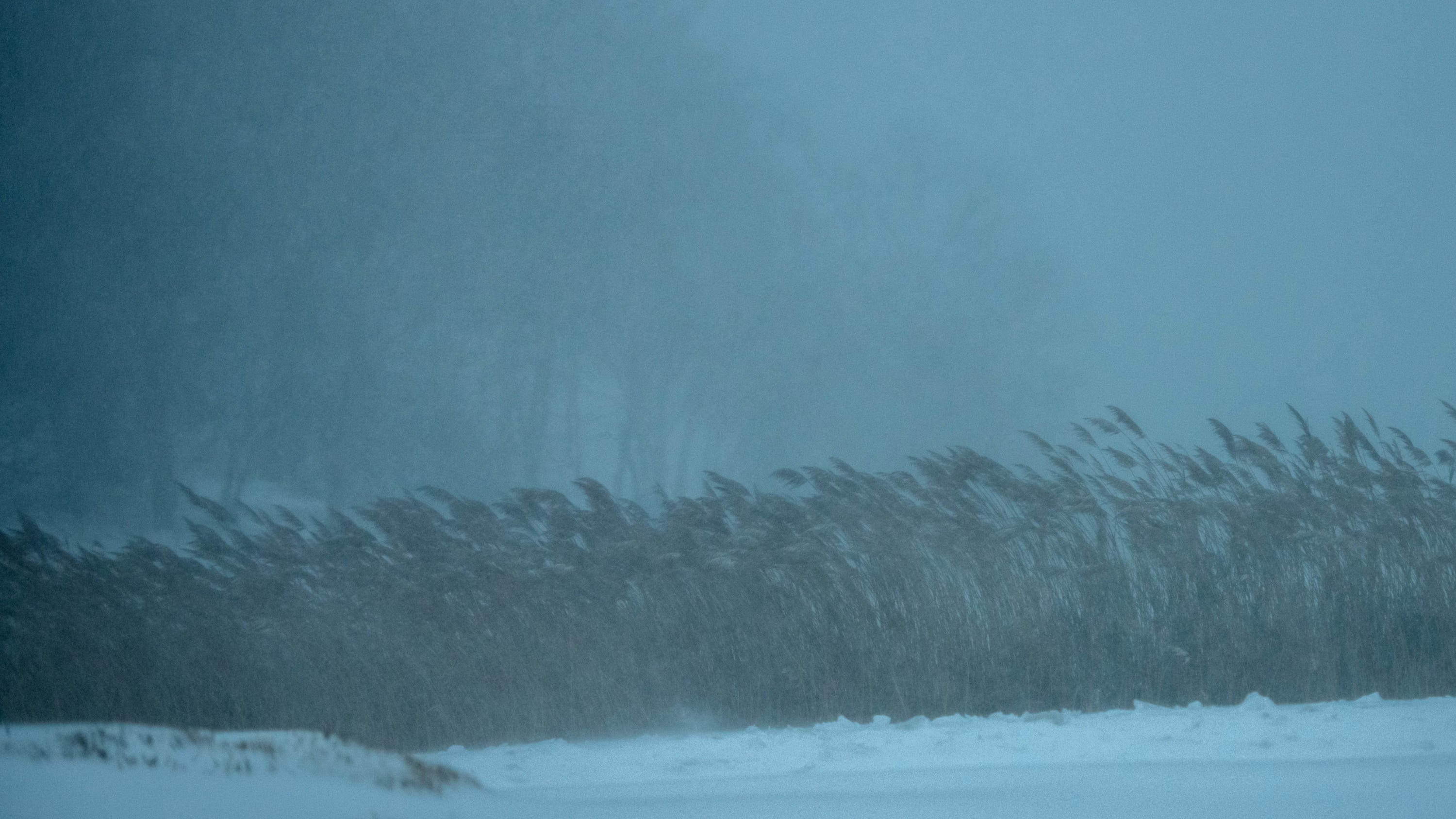 Elderly LI man drowns after falling into swimming pool while shoveling snow: police