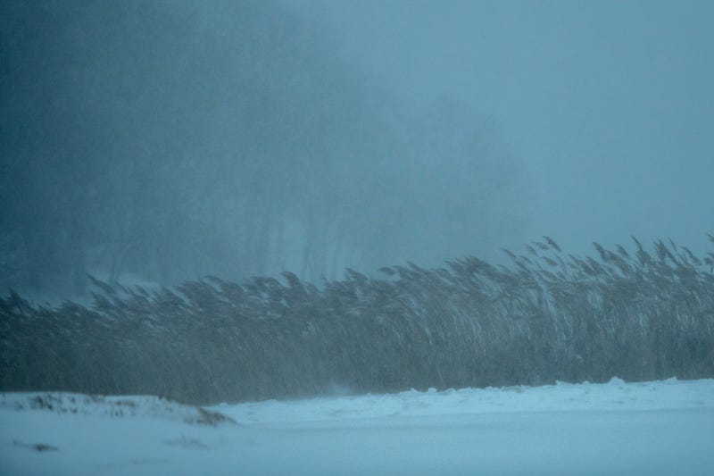 The snow blows along the Long Island sound during a blizzard that hit the North Eastern United States on January 29, 2022 in Stony Brook, New York.