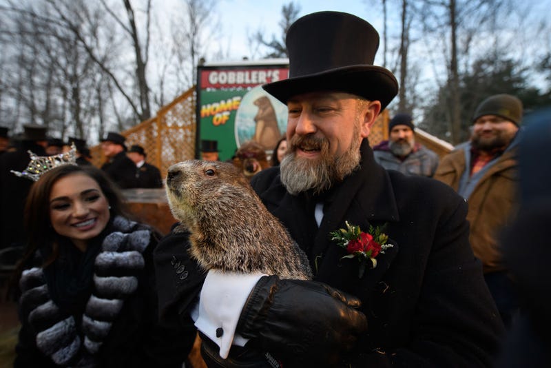 Groundhog handler AJ Derume holds Punxsutawney Phil, who saw his shadow, predicting a late spring during the 136th annual Groundhog Day festivities on February 2, 2022