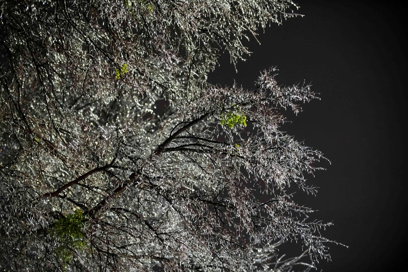Frozen branches glisten in the light of an empty shopping center after a winter storm on February 3, 2022 in Dallas, Texas.