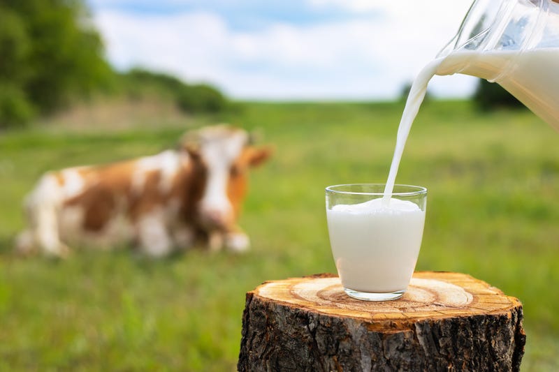 Minnesota will begin testing raw milk for bird flu starting next week.
