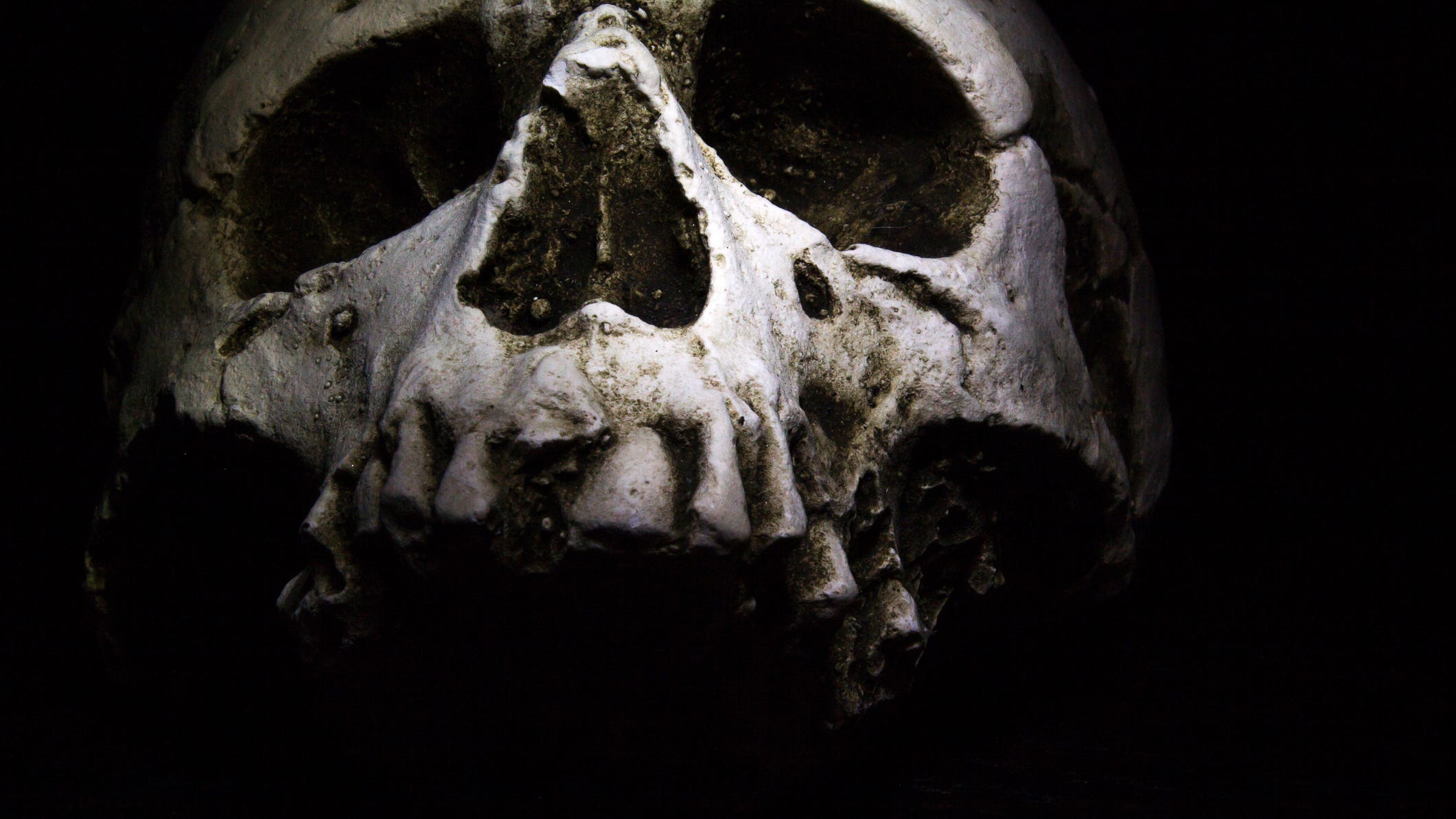 Mystery skull likely from previously undiscovered early human