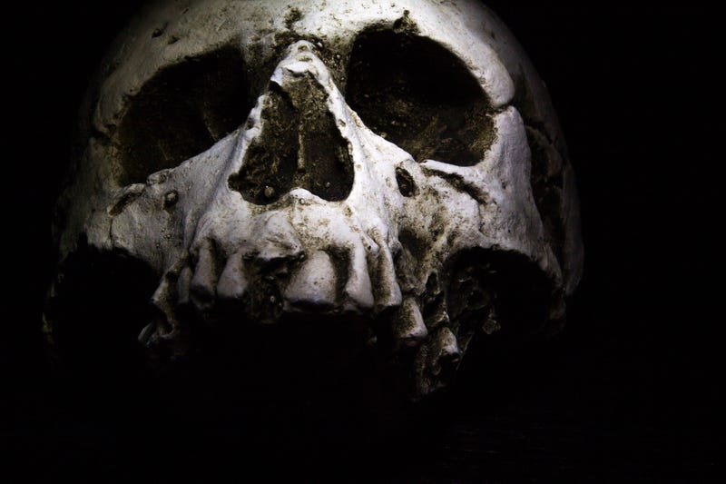 A human skull