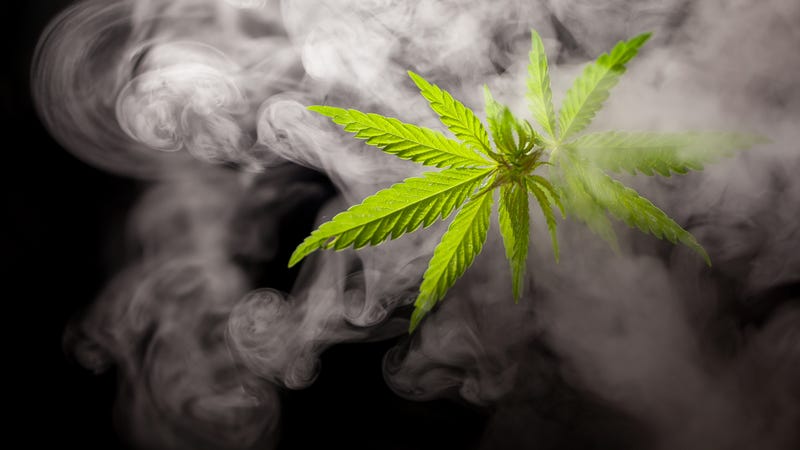 marijuana smell
