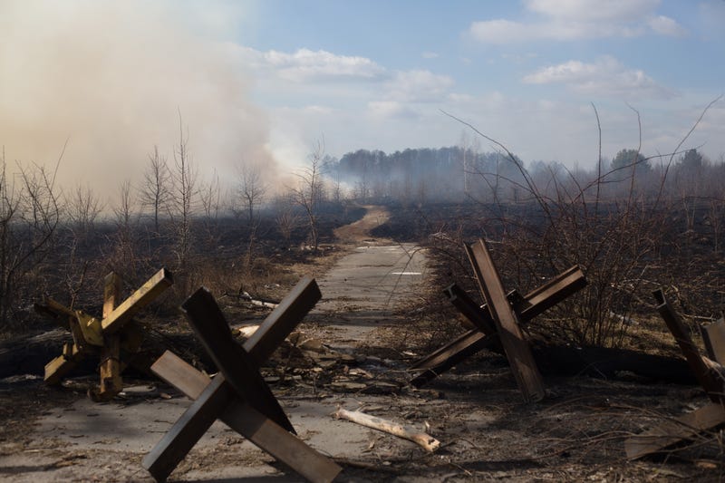 A view of the fire in the woods on March 27, 2022 in Byshiv, Ukraine