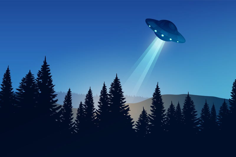 UFO in the woods. 