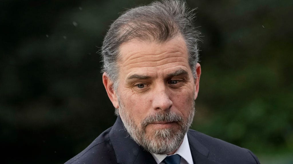 Bipartisan support revealed for Hunter Biden investigation