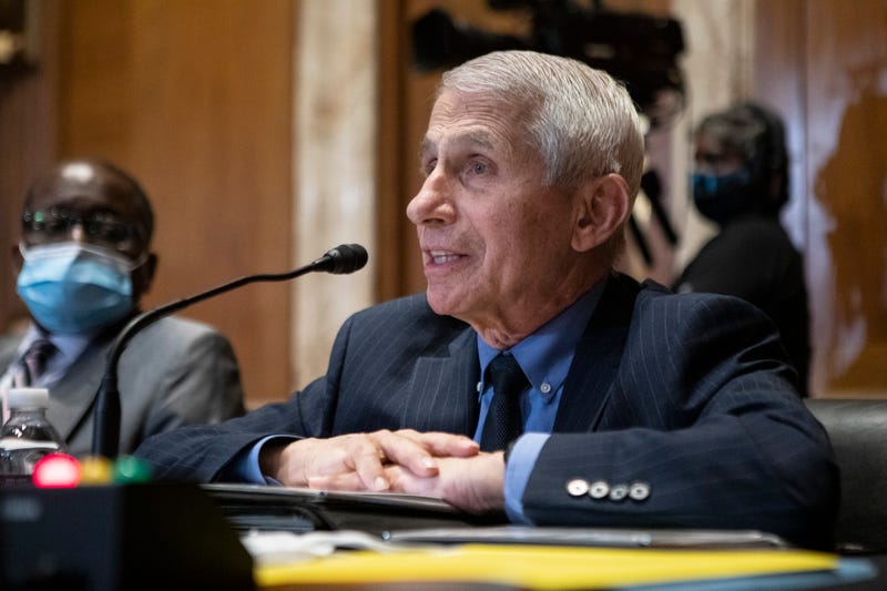 Dr. Anthony Fauci, Director of the National Institute of Allergy and Infectious Diseases testifies during a Senate Appropriations Subcommittee on Labor, Health and Human Services, Education, and Related Agencies hearing on Capitol Hill on May 17, 2022 in Washington, DC